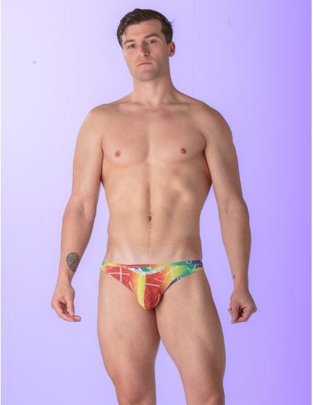WOH - Sexy Fun Pride Micro Briefs - Triangles